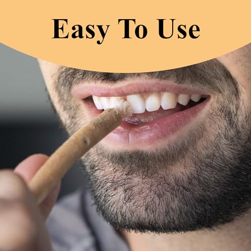 Eco-Friendly Miswak Natural Toothbrushes by Sewak Al-Falah - Pack of 10