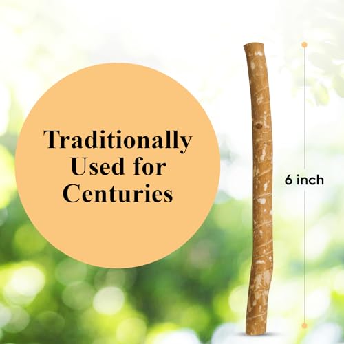Eco-Friendly Miswak Natural Toothbrushes by Sewak Al-Falah - Pack of 10