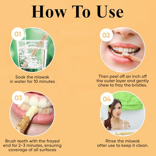 Eco-Friendly Miswak Natural Toothbrushes by Sewak Al-Falah - Pack of 10