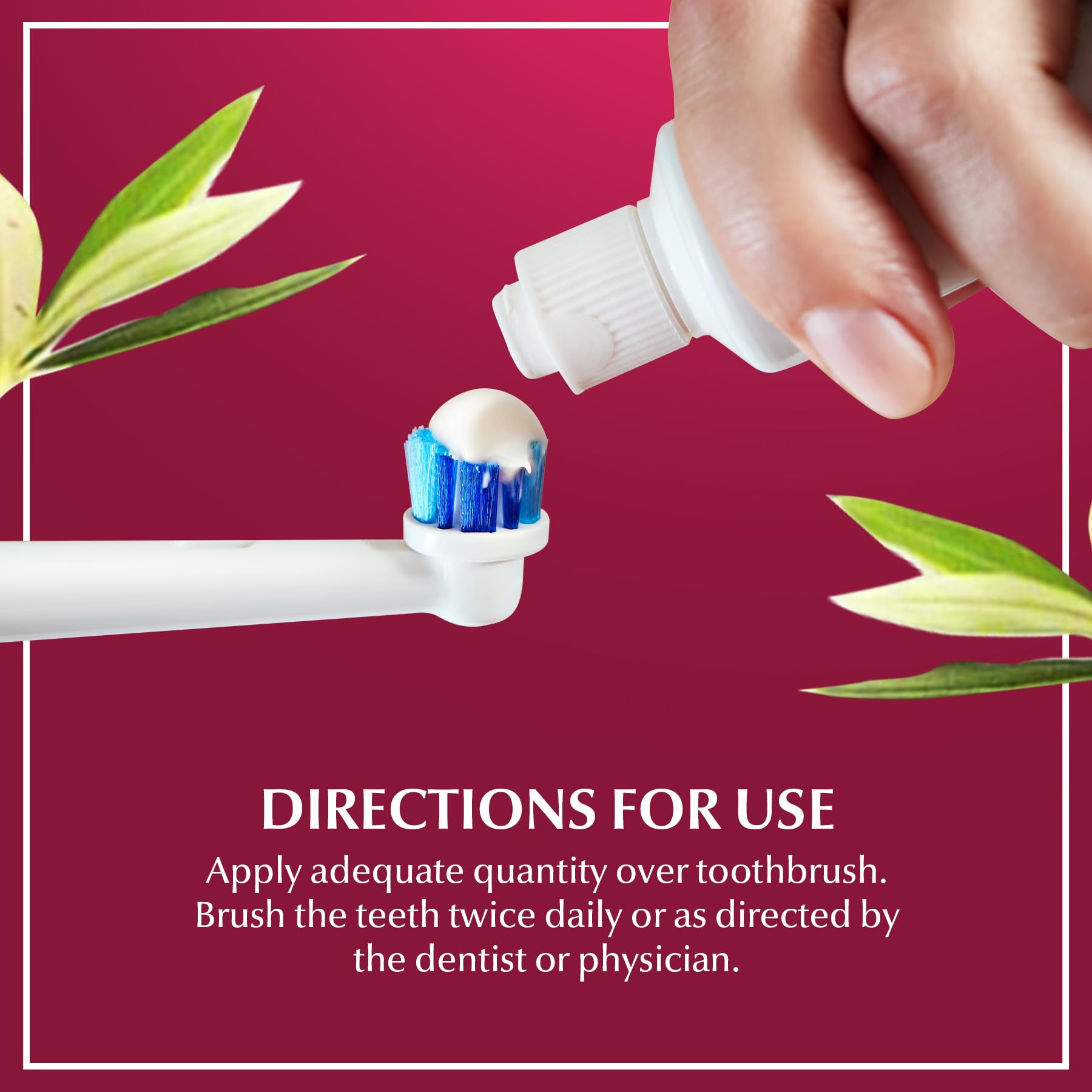 Dabur Meswak Herbal Toothpaste - All Natural Toothpaste for a Refreshing Oral Care Experience - Unmatched Freshness of Dabur's Natural Toothpaste, Formulated with Care for Your Oral Well-Being - 200g