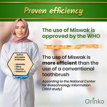 Natural Miswak Sticks, Pack of 6, product image 4